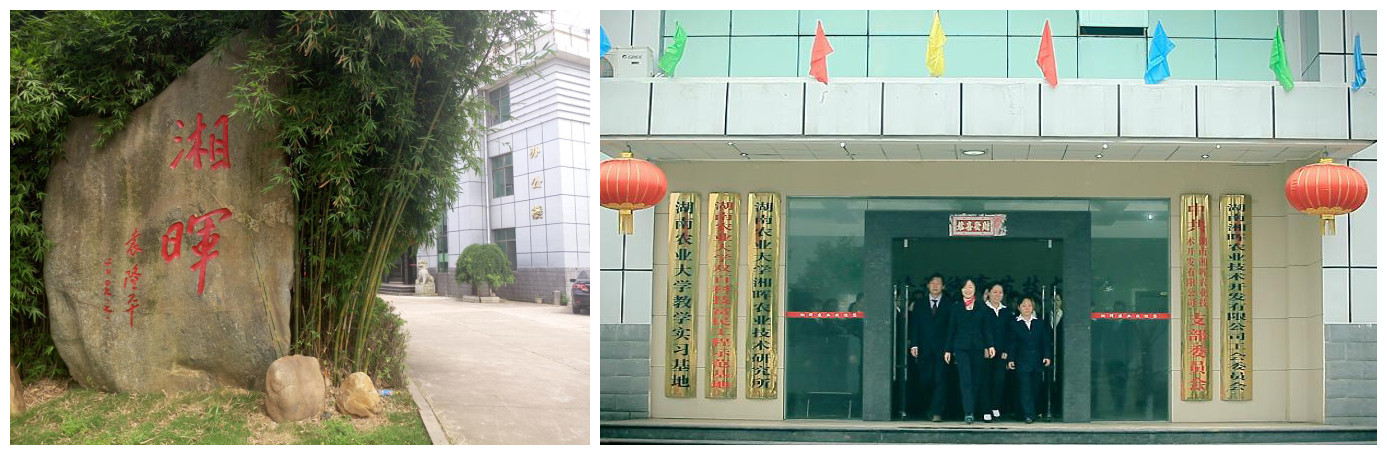 栽培基質(zhì)廠家