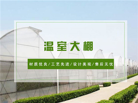 溫室大棚