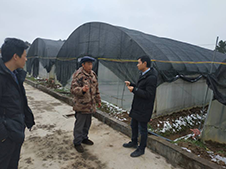 湘西瀘溪蔬菜基地李作喜